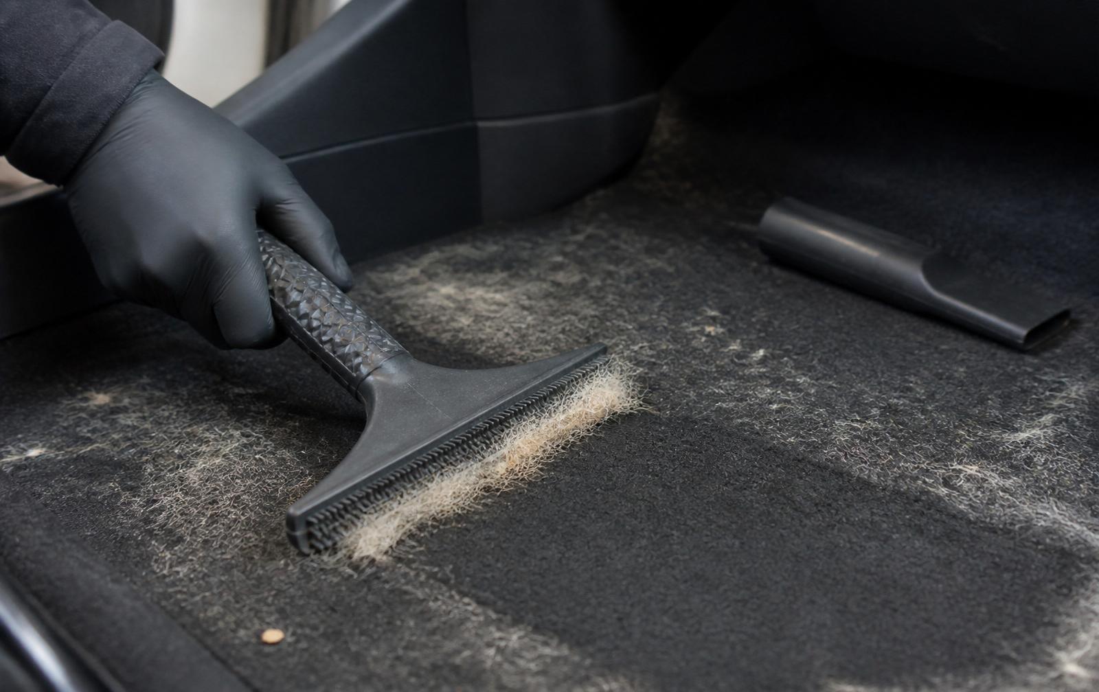 Rubber pet-hair brush lifting embedded hair from a black car carpet with vacuum nearby in Lewisville, NC